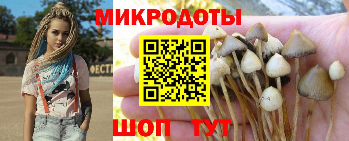 Галлюциногенные грибы Psilocybine cubensis  Вход с VPN  Зеленогорск 